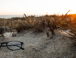photography of eyeglass on grass field thumbnail